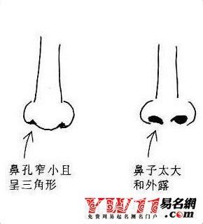 鼻孔一大一小面相|面相入门